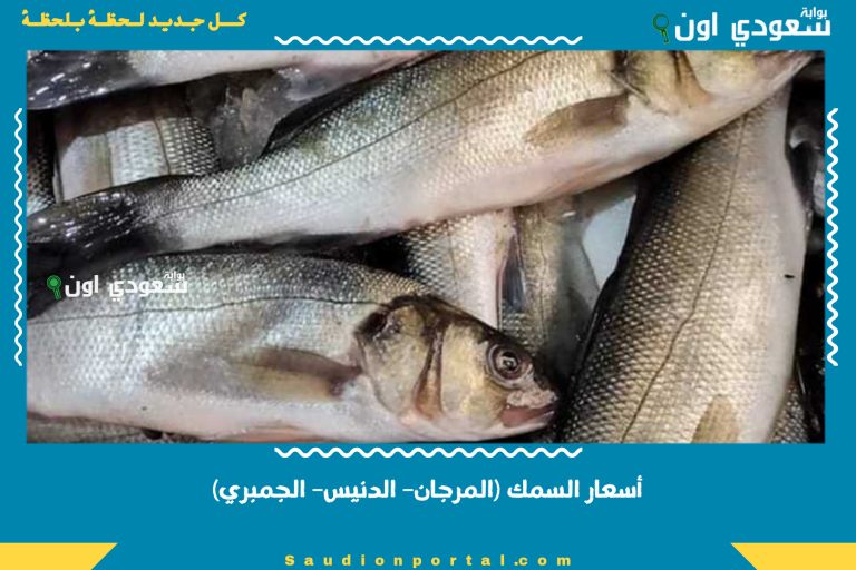 أسعار السمك (المرجان– الدنيس– الجمبري)