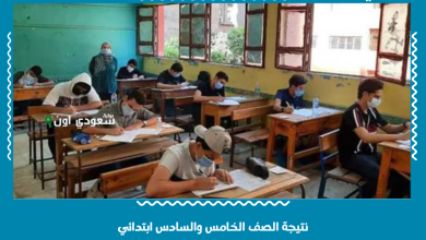نتيجة الصف الخامس والسادس ابتدائي