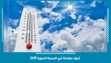 أجواء معتدلة في المدينة المنورة 2025