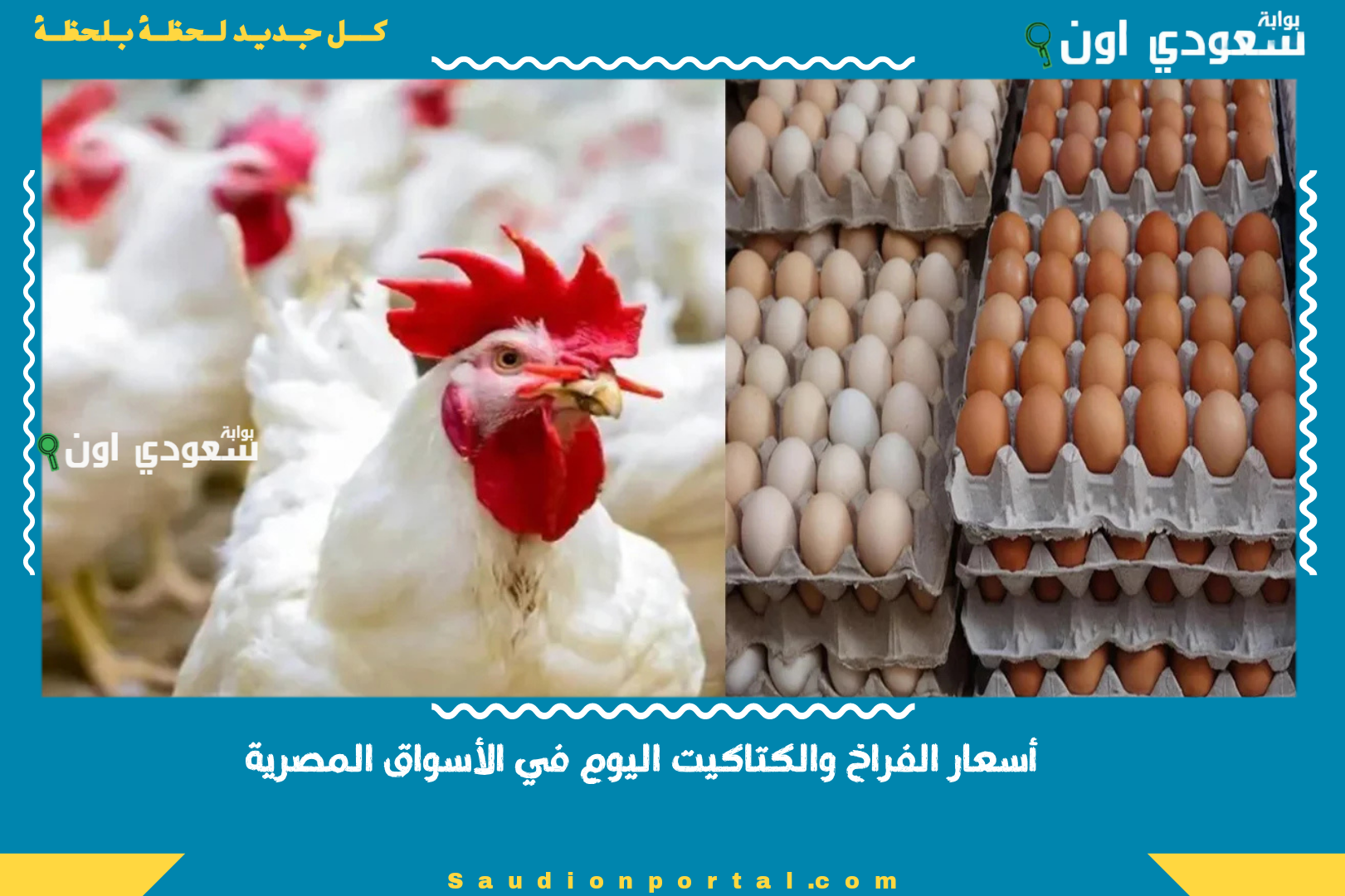 أسعار الفراخ والكتاكيت اليوم