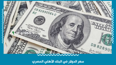 سعر الدولار في البنك الأهلي المصري