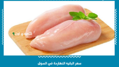 سعر البانيه النهاردة في السوق