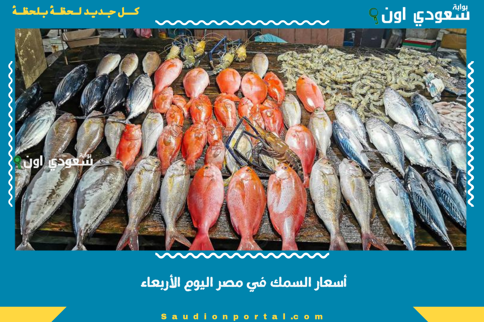 أسعار السمك في مصر اليوم الأربعاء