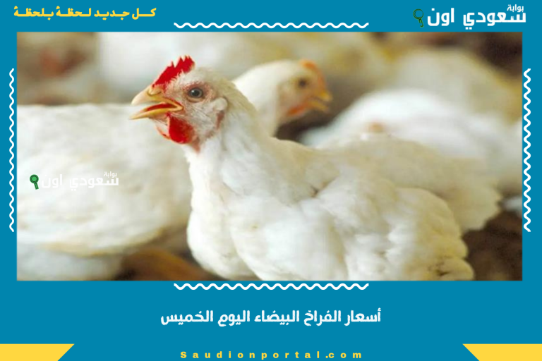 أسعار الفراخ البيضاء اليوم الخميس