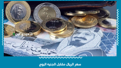 سعر الريال مقابل الجنيه اليوم