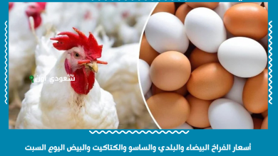 أسعار الفراخ البيضاء والبلدي والساسو والكتاكيت والبيض اليوم السبت