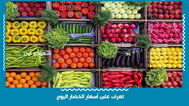 تعرف على أسعار الخضار اليوم