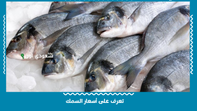 تعرف على أسعار السمك