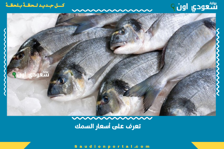 تعرف على أسعار السمك