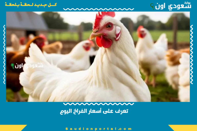 تعرف على أسعار الفراخ اليوم