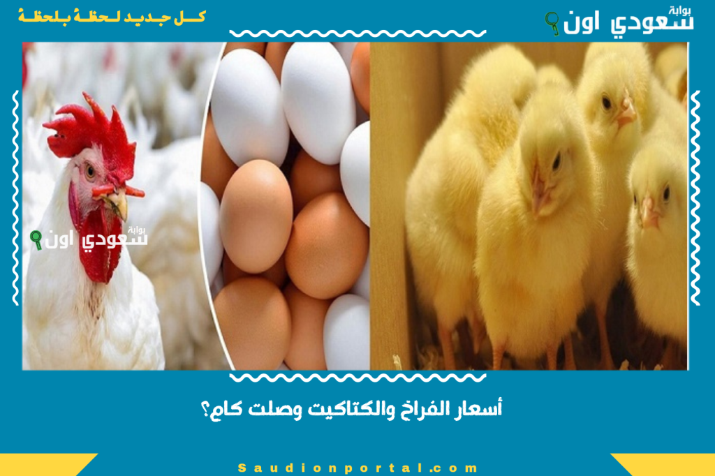 بورصة الدواجن أسعار الفراخ والكتاكيت اليوم سعر الفراخ البيضاء والبيض اليوم الاثنين 2-6-2025
