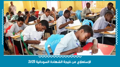 الاستعلام عن نتيجة الشهادة السودانية 2025