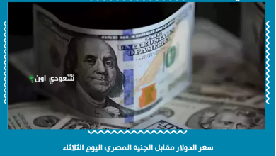 سعر الدولار مقابل الجنيه المصري اليوم الثلاثاء