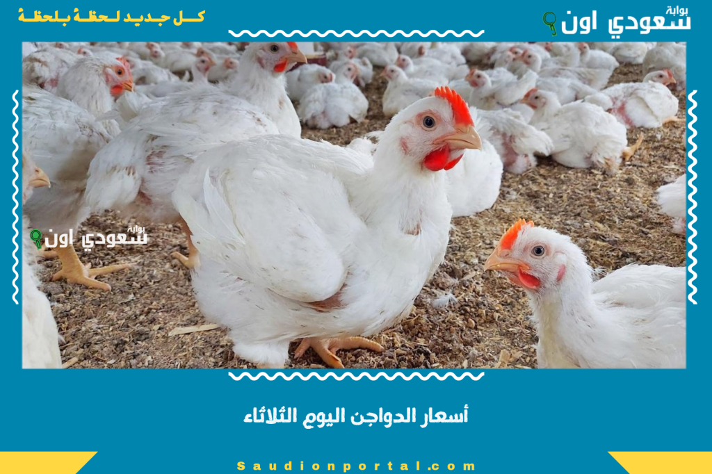 أسعار الدواجن اليوم الثلاثاء