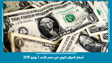 أسعار الدولار اليوم في مصر الأحد 1 يونيو 2025