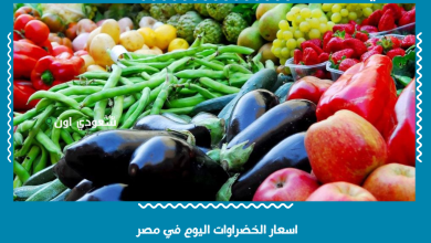 اسعار الخضراوات اليوم في مصر