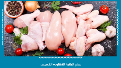 سعر البانيه النهارده الخميس