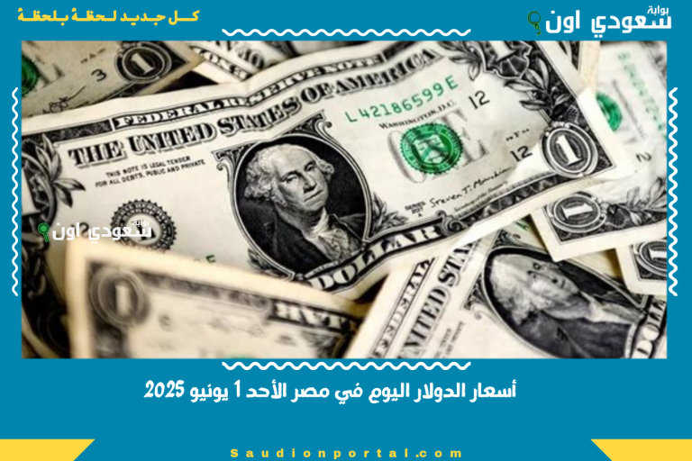 أسعار الدولار اليوم في مصر الأحد 1 يونيو 2025