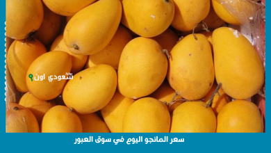 سعر المانجو اليوم في سوق العبور