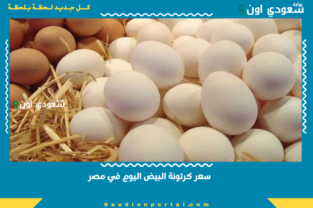 سعر كرتونة البيض اليوم