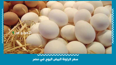 سعر كرتونة البيض اليوم في مصر