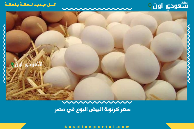 سعر كرتونة البيض اليوم في مصر