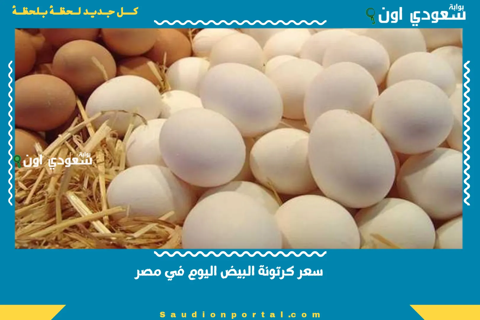 سعر كرتونة البيض اليوم في مصر