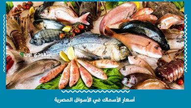 أسعار الأسماك في الأسواق المصرية
