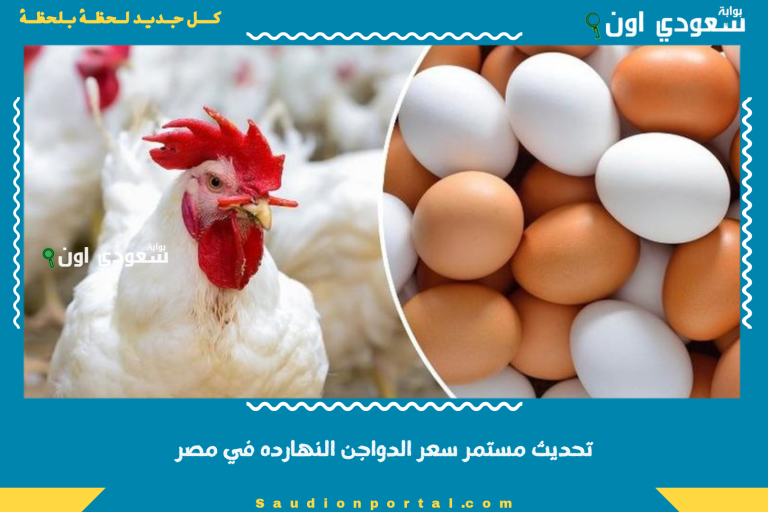 تحديث مستمر سعر الدواجن النهارده في مصر