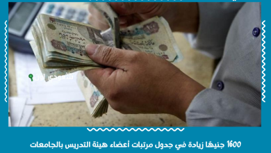 1600 جنيهًا زيادة في جدول مرتبات أعضاء هيئة التدريس بالجامعات