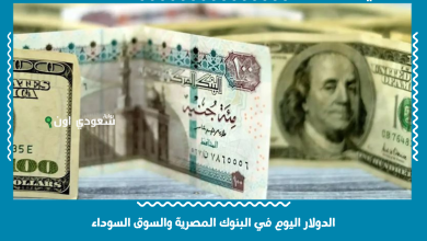 الدولار اليوم في البنوك المصرية والسوق السوداء