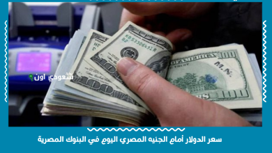 سعر الدولار أمام الجنيه المصري اليوم في البنوك المصرية