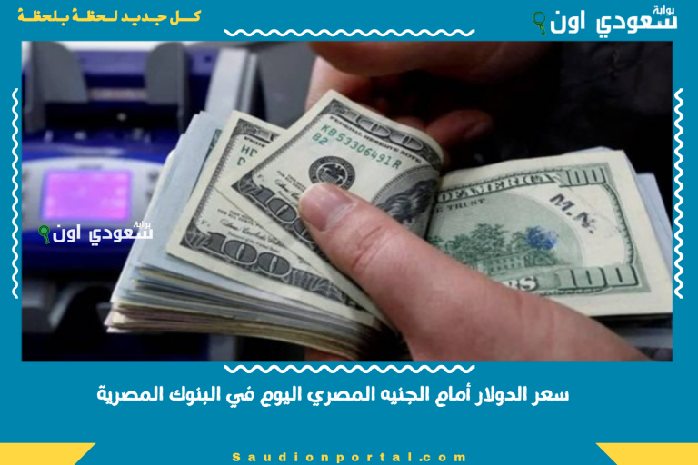 سعر الدولار أمام الجنيه المصري اليوم في البنوك المصرية