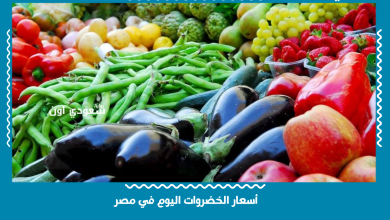 أسعار الخضروات اليوم في مصر
