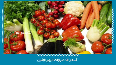 أسعار الخضراوات اليوم الاثنين