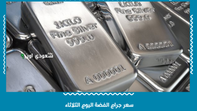 سعر جرام الفضة اليوم الثلاثاء