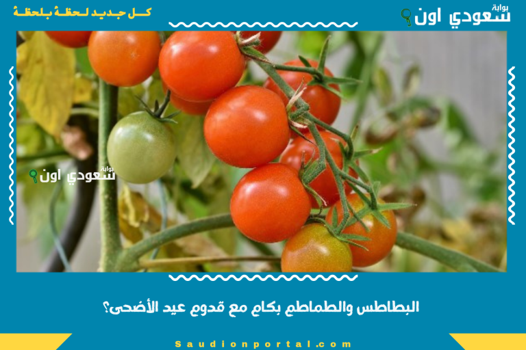 البطاطس والطماطم بكام مع قدوم عيد الأضحى؟