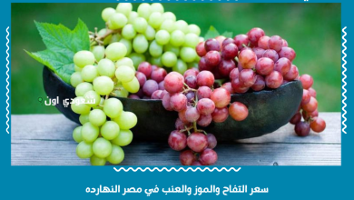 سعر التفاح والموز والعنب في مصر النهارده