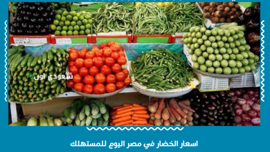 اسعار الخضار في مصر اليوم للمستهلك