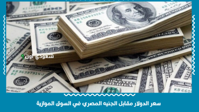 سعر الدولار مقابل الجنيه المصري في السوق الموازية