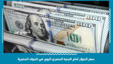 سعر الدولار أمام الجنيه المصري اليوم في البنوك المصرية