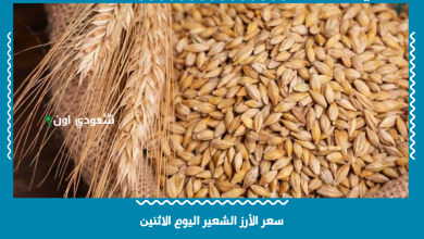 سعر الأرز الشعير اليوم الاثنين