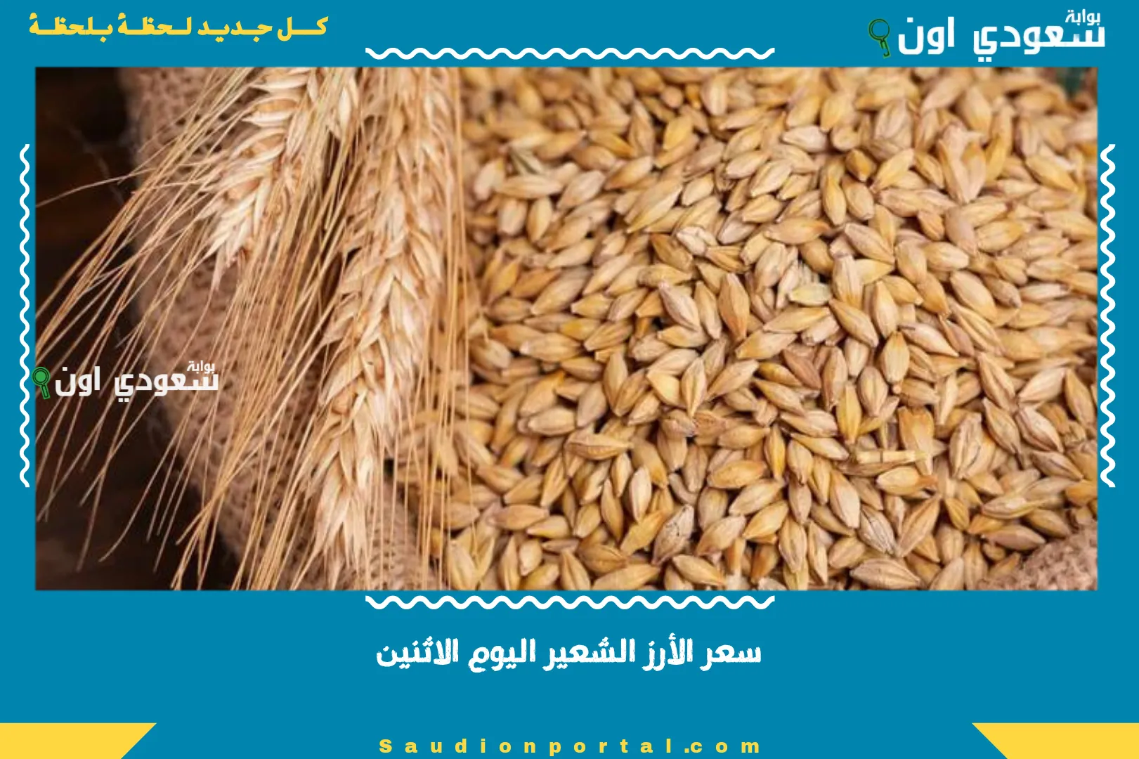 سعر الأرز الشعير اليوم الاثنين