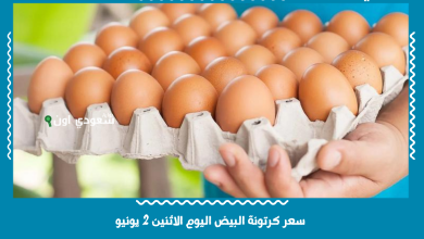 سعر كرتونة البيض اليوم الاثنين 2 يونيو