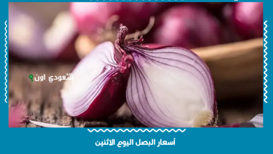 أسعار البصل اليوم الاثنين