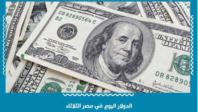 الدولار اليوم في مصر الثلاثاء
