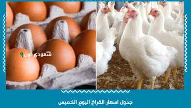 جدول اسعار الفراخ اليوم الخميس