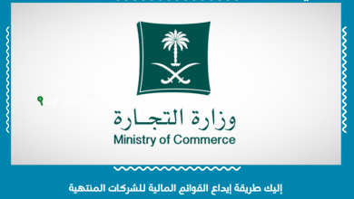 إليك طريقة إيداع القوائم المالية للشركات المنتهية