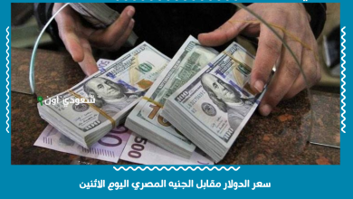 سعر الدولار مقابل الجنيه المصري اليوم الاثنين