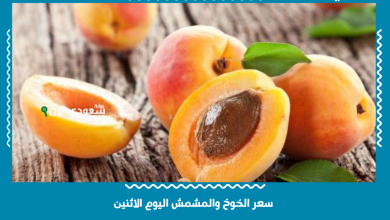 سعر الخوخ والمشمش اليوم الاثنين